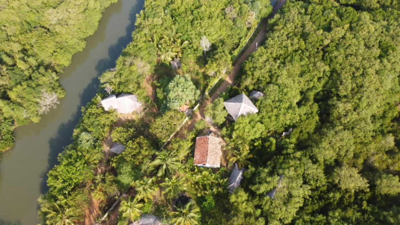 Mermaid Cabana And Tree Houses Tangalle Habitación foto